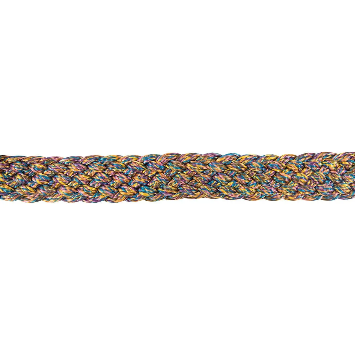 Braided Mule Tape Halter w/ 9' Lead
