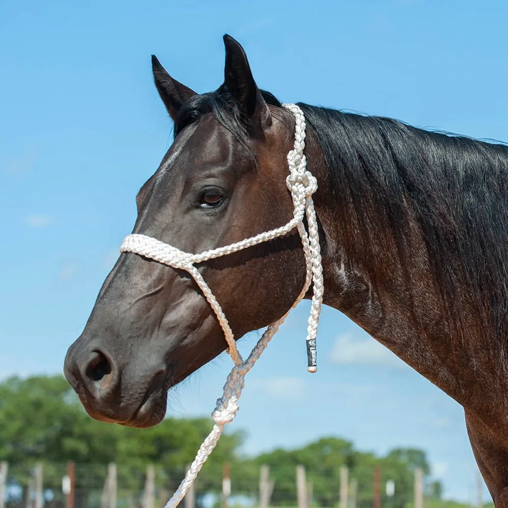 Braided Mule Tape Halter w/ 9' Lead