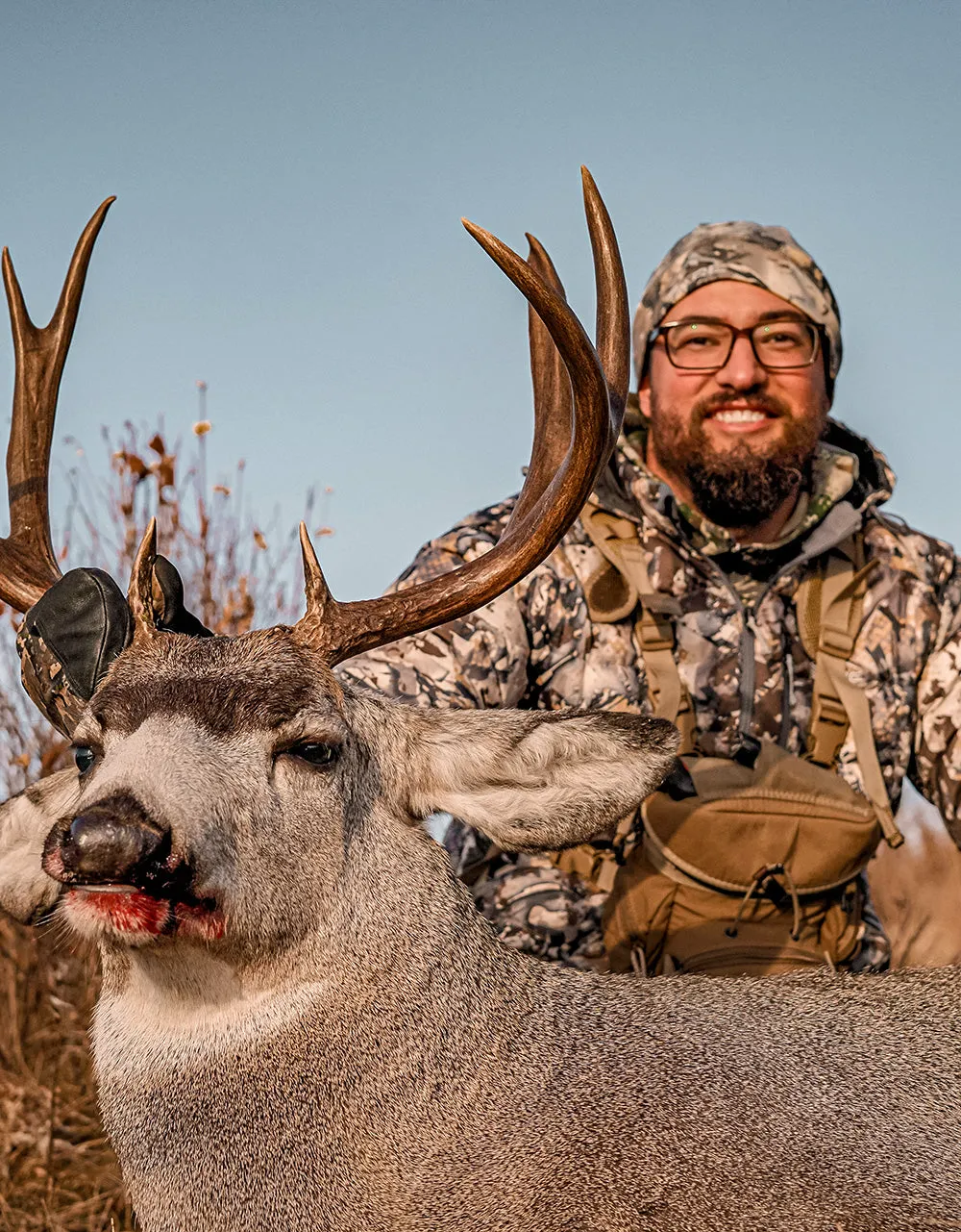 Mule Deer Bundle